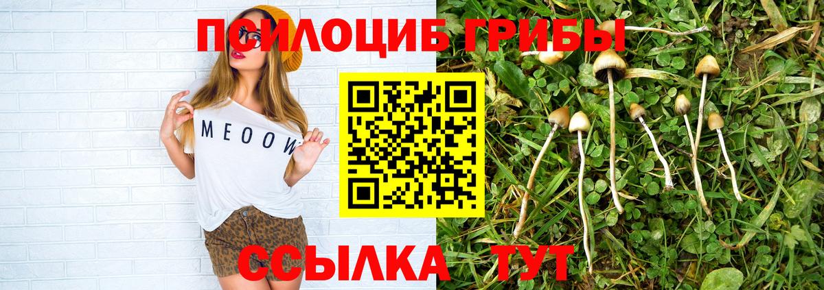 Псилоцибиновые грибы прущие грибы Губкин