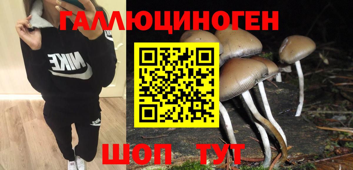 Губкин  Псилоцибиновые грибы мухоморы  Вход с VPN  Галлюциногенные грибы Psilocybine cubensis 